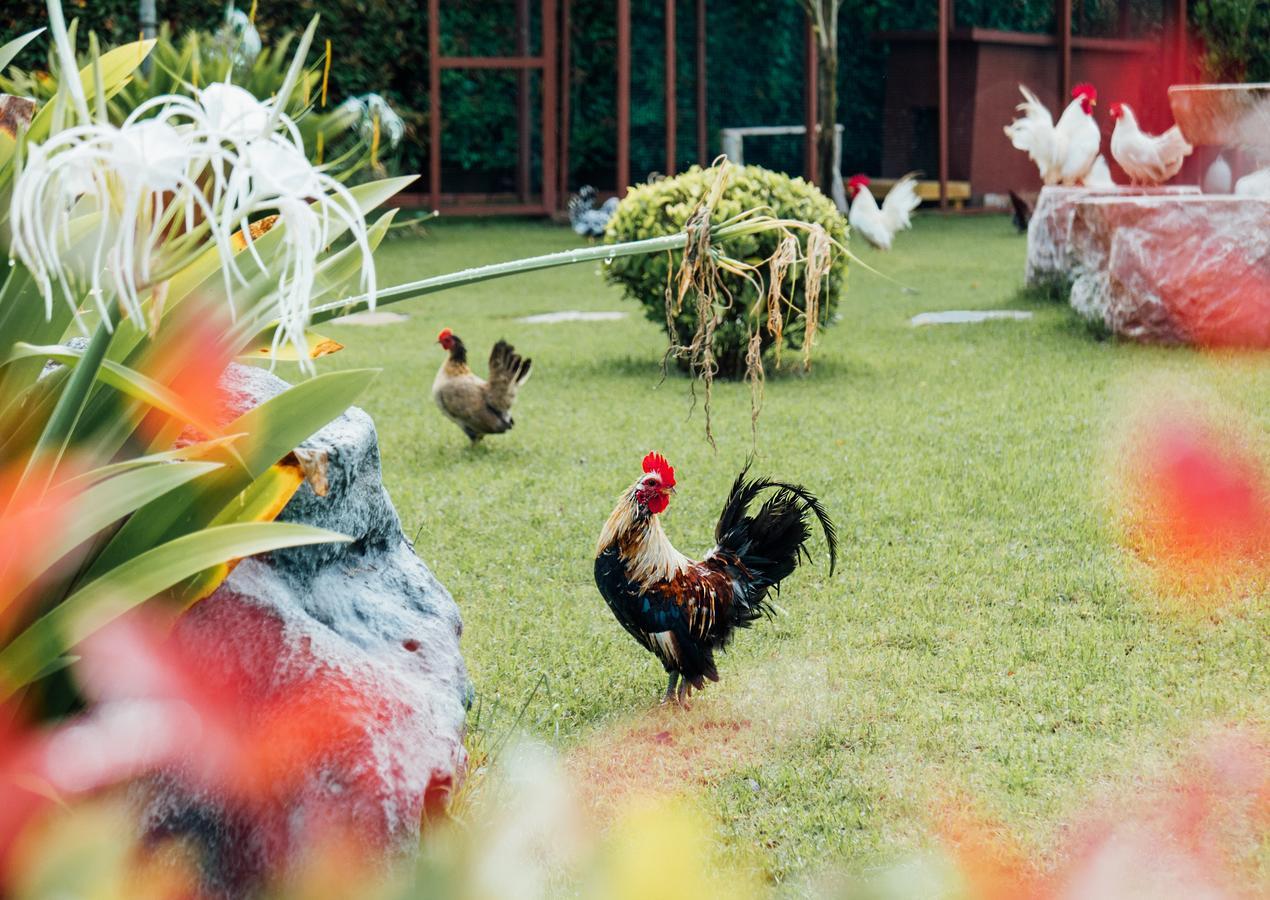 Rai Fahpratan Home And Garden Ban Pak Ngam  Zewnętrze zdjęcie